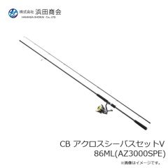 浜田商会　CB PEゲームエギング セット 80(LE2000SPE)