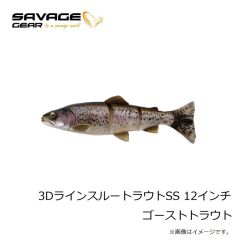 サベージギア　3DラインスルートラウトSS 12インチ ゴーストトラウト