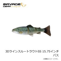 サベージギア　3DラインスルートラウトSS 12インチ ゴーストトラウト