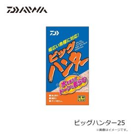 ダイワ　ビッグハンター25