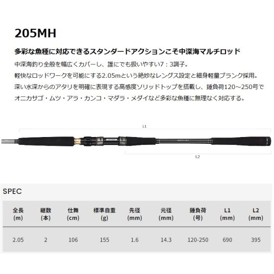 オモリ 250号 中深海釣り ちょろ
