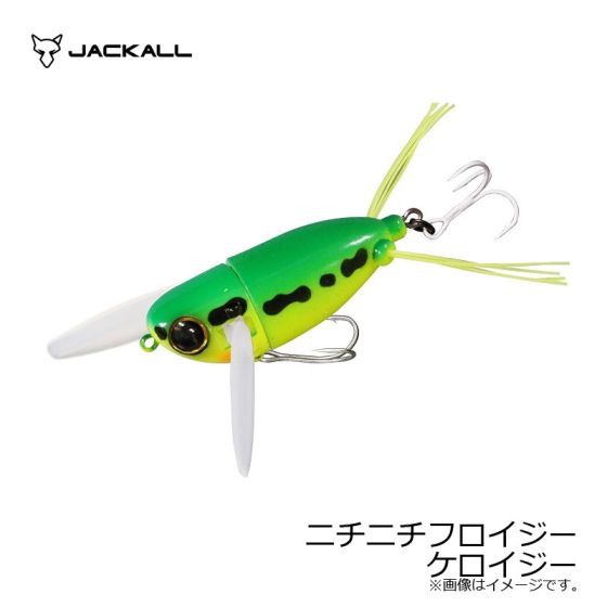 ジャッカル　ニチニチフロイジー ジャッカル ニチニチフロイジー ケロイジー