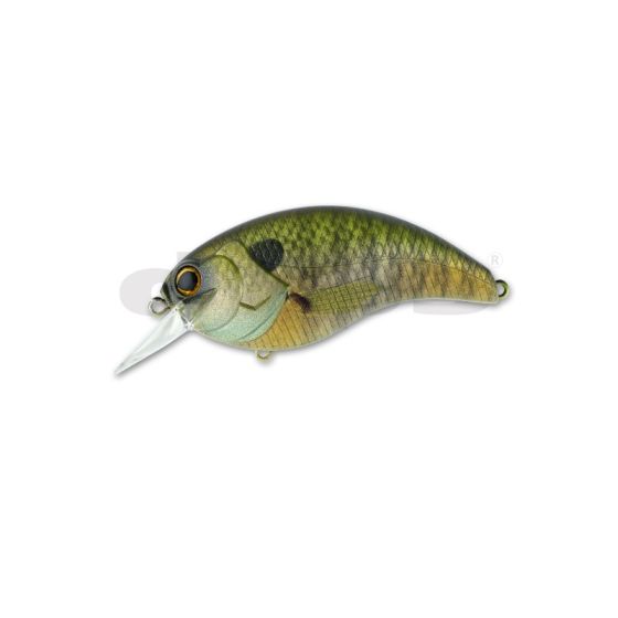 deps デプス イヴォーク4.0 限定カラー