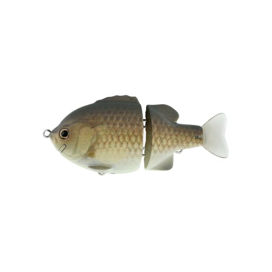 デプス タイニーブルシューター #13 キンブナ