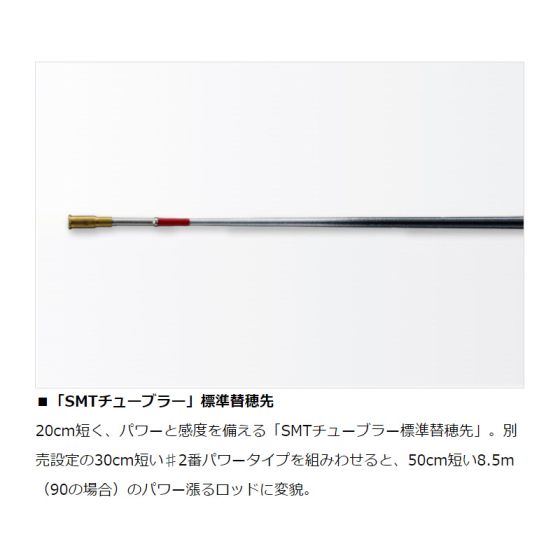 ダイワ 銀影競技TYPE S H85•W