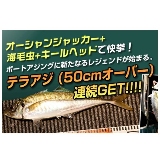 海を創る 海を創る外科医 | アクア好き外科医の日記帳📕