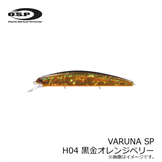 OSP　ヴァルナ 110SP ( ASURA O.S.P VARUNA 110 SP )　H04 黒金オレンジベリー