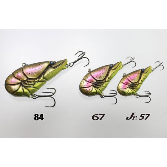 サバイバー 楽天市場】[ラフアンドロード限定販売]【OVERRACING】56-711-01G