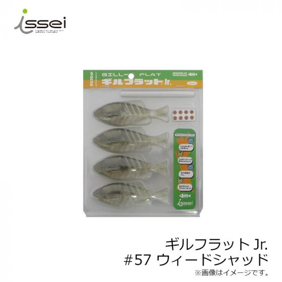 一誠 ギルフラットジュニア issei GILL FLAT Jr つまんない