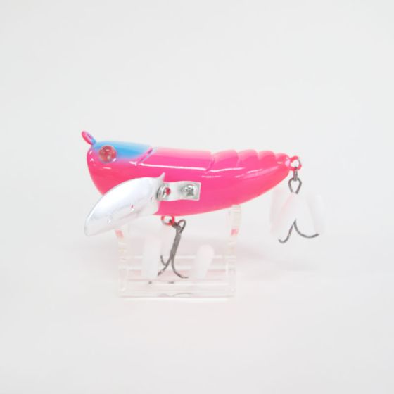 タンケットビッチ限定からー