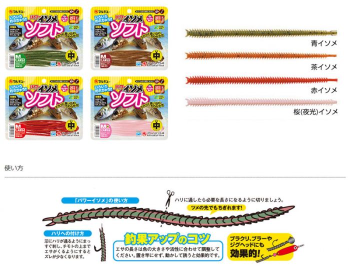 サヨリ、スルメイカ、キス、カレイ、タコ、仕掛けいろいろ