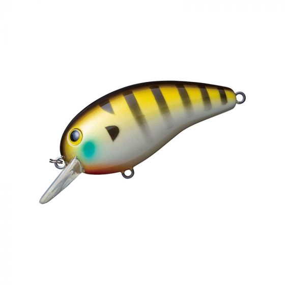 DAIWA ダイワ メガピーナッツ MEGA Peanut スティーズSTEEZ DAIWA - メガピーナッツの通販 by ゆう's shop｜ダイワならラクマ