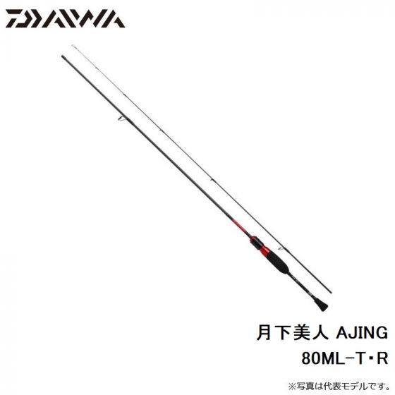 使用感は分かりませんよねダイワ　月下美人　AJING  AIR A 510UL-S・W ほぼ新品