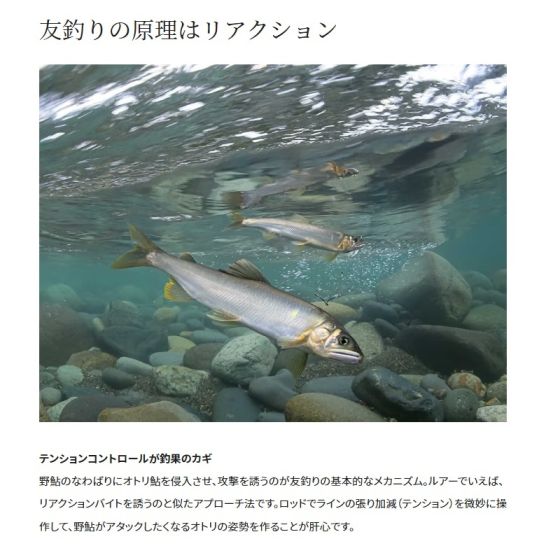 SHIMANO - 釣り好き 23AW New Product Spinning Reel] Sedona / Jun Tomitokoro