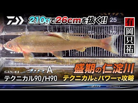 ダイワ(Daiwa) 銀影エア A H 90 Qの釣具販売、、通販ならFTO ...