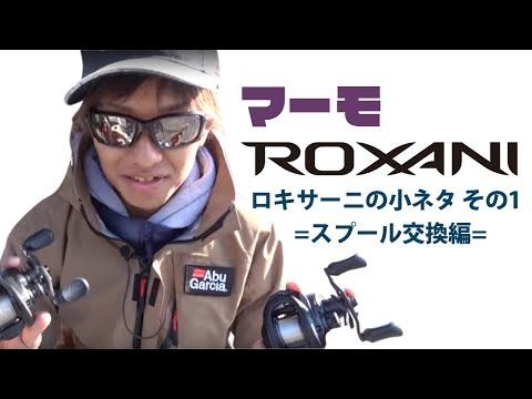 18ロキサーニ8右 アブ (Abu) ROXANI8 （ロキサーニ） 右巻 の釣具通販
