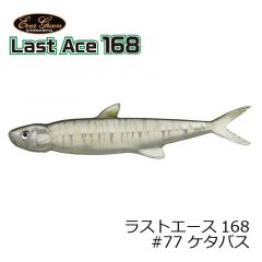 エバーグリーン　　ラストエース 168　 ( Last Ace 168 )　#77 ケタバス