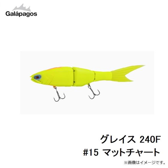 ガラパゴス グレイス 240F #1 戸惑う 琵琶湖SPEC
