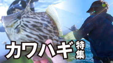 カワハギ釣りのアイテム一覧